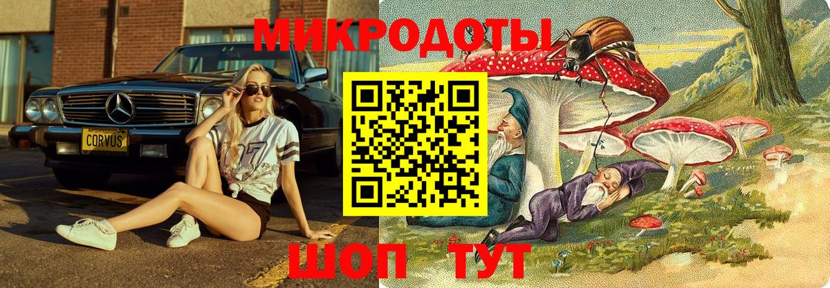 Коммунар  Галлюциногенные грибы ЛСД  Вход с VPN  Галлюциногенные грибы мухоморы 