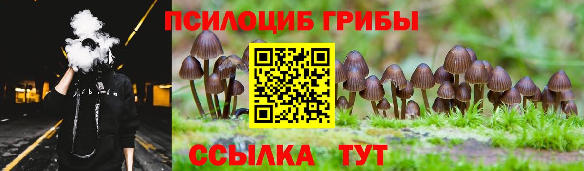 Галлюциногенные грибы GOLDEN TEACHER Коммунар